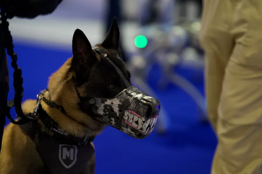 A police working dog wearing a muzzle at the K9 area